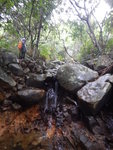 DSCN3291