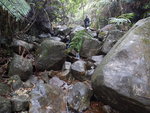 DSCN3292
