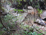 DSCN3293