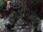 DSCN3307