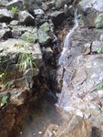 DSCN3309