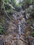 DSCN3314