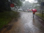 好大雨哩, 原來是黃雨. 至另一分岔路轉右 DSCN3343