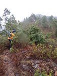 純陽峯南脊路, 一路陡上
DSCN4427