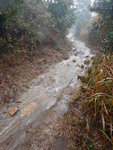 雨下得大到連郊遊徑都變小溪
DSCN4456