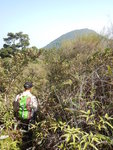 到頂前望又見鷓鴣山
DSCN4713