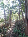 DSCN4731