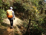 接山路往荔枝窩
DSCN4811