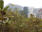 遙望南朗山
DSCN4885