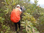 班納山西南脊路上山
DSCN4887