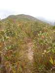 班納山西南脊路上山, 班納山頂在前
DSCN4889