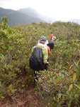 過班納山頂後開始東脊路落山, 前望見聶高信山
DSCN4893
