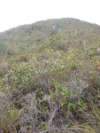 回望落山路
DSCN4897