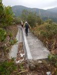 山路盡接引水道石屎路, 轉左沿石屎路前行
DSCN4900