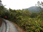 續沿引水道前行, 金馬倫山在相右
DSCN4904