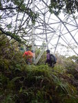 過碉堡續穿林上山到一電塔
DSCN4937