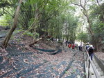 DSCN5071