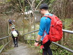 石級路經咖啡園落到好低 DSCN5091