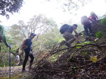 DSCN5097