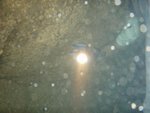 貫通左右洞道的水中洞, 有人從左洞道潛緊過右洞道去
P8224838
