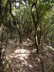 DSCN5606