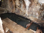 DSCN5667