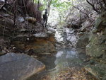 上溯&#33825;刀屻西坑, 一水池擋路, 左邊過
DSCN6456