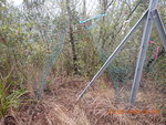 沿標高柱箭咀指示方向沿山脊路上至頂又有鐵絲網開口 DSCN6718