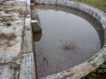DSCN6842