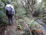 走澗邊路
DSCN6848