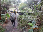 落至引水道轉右往下花山烈女宮前下午茶
DSCN6850