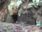 經一洞口可能是以前的防空洞
DSCN7290