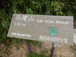 西灣山高314m
DSCN8236