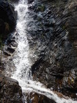 DSCN8869