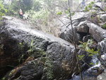 剛才山路就到相中大石坡頂, 有隊友乾脆在石頂大休
DSCN9336