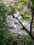 瀑頂右邊有山路落, 山路中回望仍在瀑頂映山紅旁的隊友
DSCN9420