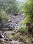 SL11(3), 都係源自老虎山
DSCN9455