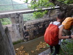 小徑通往引水道
DSCN9461