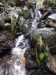 DSCN0604