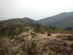 周圍見焦地
DSCN0614