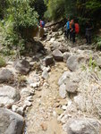 入澗上溯圓頭山南坑左源
DSCN0703