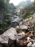 上溯圓頭山南坑左源
DSCN0706