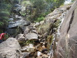 DSCN0707
