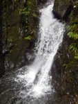 DSCN1181