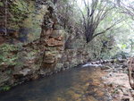 DSCN1301