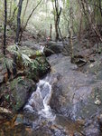 DSCN1324