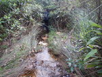 DSCN1396