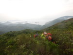 窮源穿林接草叢上田尾山
DSCN1456