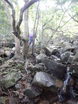 上溯四城石澗, 過山路後似乎無咁好水&#22083;
DSCN2928