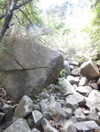 DSCN2929